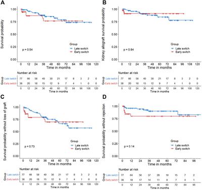 Three-Year Outcomes in Kidney Transplant Recipients Switched From Calcineurin Inhibitor-Based Regimens to Belatacept as a Rescue Therapy